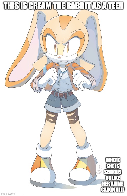 Teen Cream | THIS IS CREAM THE RABBIT AS A TEEN; WHERE SHE IS SERIOUS UNLIKE HER ANIME CANON SELF | image tagged in sonic the hedgehog,cream,memes | made w/ Imgflip meme maker