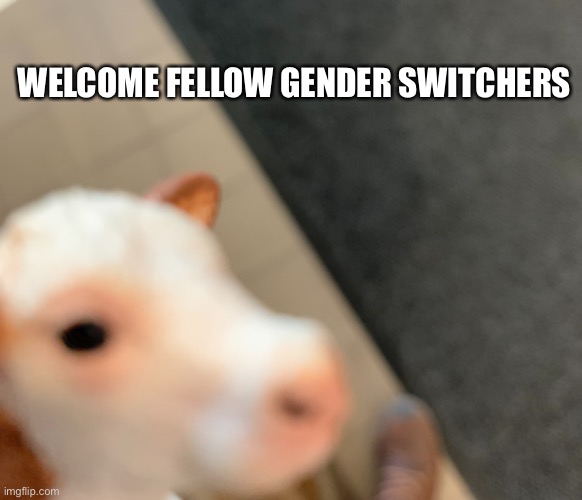 Welcome | WELCOME FELLOW GENDER SWITCHERS | made w/ Imgflip meme maker