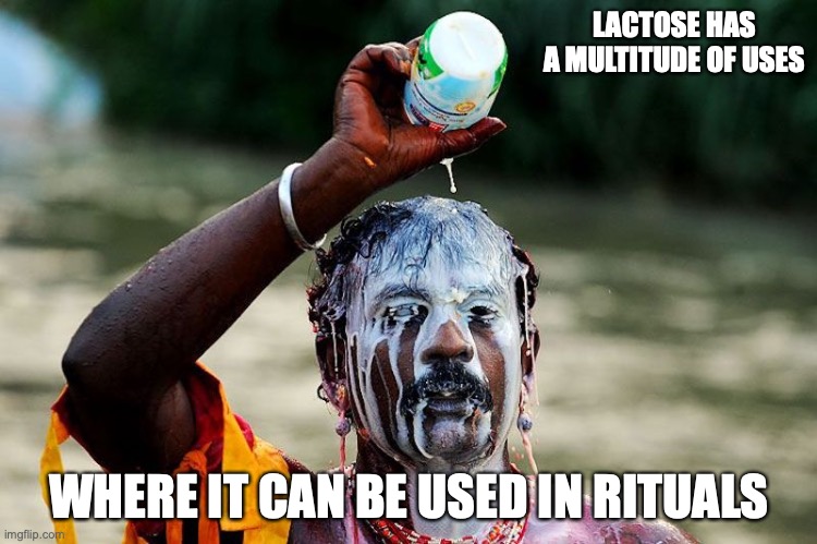 Hindu Milk Ritual | LACTOSE HAS A MULTITUDE OF USES; WHERE IT CAN BE USED IN RITUALS | image tagged in milk,lactose,memes | made w/ Imgflip meme maker