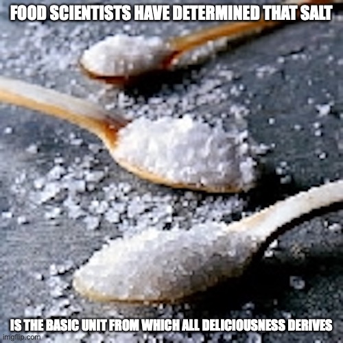 Salt | FOOD SCIENTISTS HAVE DETERMINED THAT SALT; IS THE BASIC UNIT FROM WHICH ALL DELICIOUSNESS DERIVES | image tagged in salt,memes | made w/ Imgflip meme maker