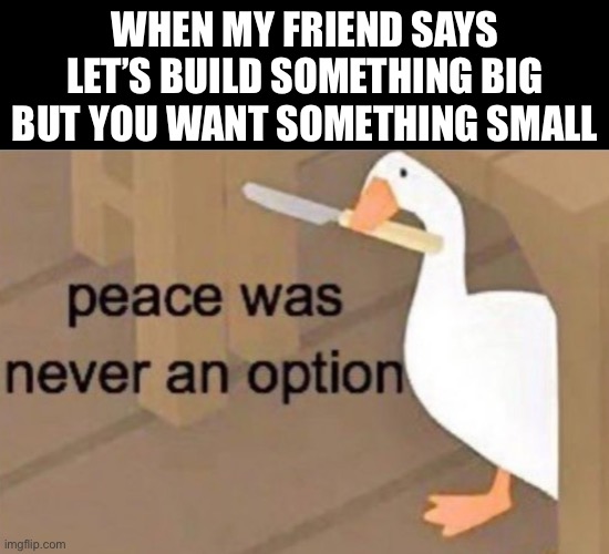 Peace was never an option | WHEN MY FRIEND SAYS LET’S BUILD SOMETHING BIG BUT YOU WANT SOMETHING SMALL | image tagged in peace was never an option | made w/ Imgflip meme maker