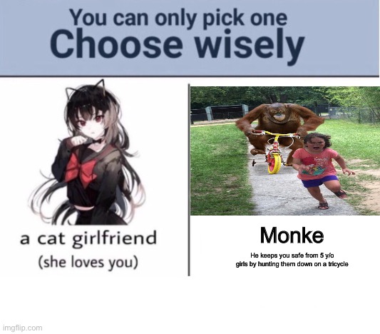 I don’t really know | Monke; He keeps you safe from 5 y/o girls by hunting them down on a tricycle | image tagged in choose wisely,monke | made w/ Imgflip meme maker