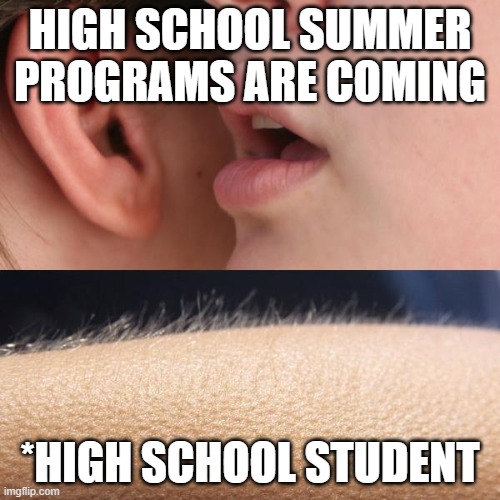 High School Summer Programs | HIGH SCHOOL SUMMER PROGRAMS ARE COMING; *HIGH SCHOOL STUDENT | image tagged in whisper and goosebumps,funny memes,meme,dank memes | made w/ Imgflip meme maker