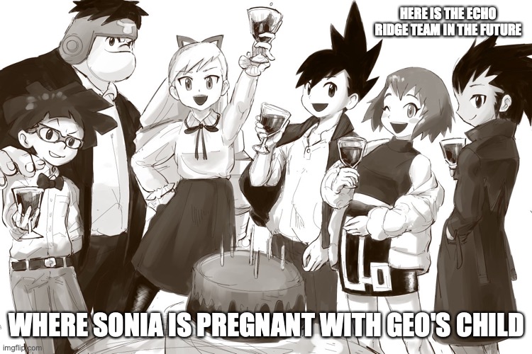 Mature Echo Ridge Team | HERE IS THE ECHO RIDGE TEAM IN THE FUTURE; WHERE SONIA IS PREGNANT WITH GEO'S CHILD | image tagged in memes,megaman,megaman star force | made w/ Imgflip meme maker