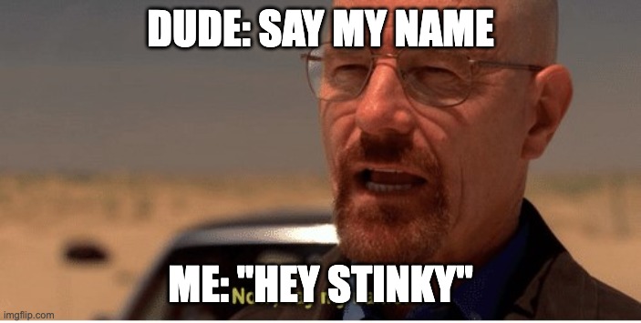 Now, say my name | DUDE: SAY MY NAME; ME: "HEY STINKY" | image tagged in now say my name | made w/ Imgflip meme maker