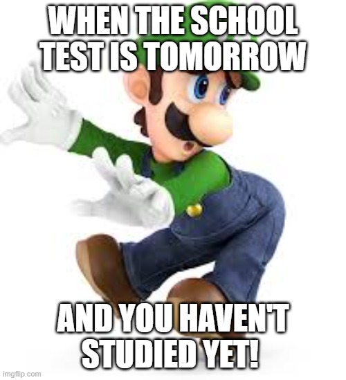 Luigi scared | WHEN THE SCHOOL TEST IS TOMORROW; AND YOU HAVEN'T STUDIED YET! | image tagged in luigi scared | made w/ Imgflip meme maker