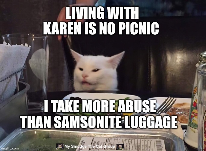 LIVING WITH KAREN IS NO PICNIC; I TAKE MORE ABUSE THAN SAMSONITE LUGGAGE | image tagged in smudge the cat,smudge | made w/ Imgflip meme maker