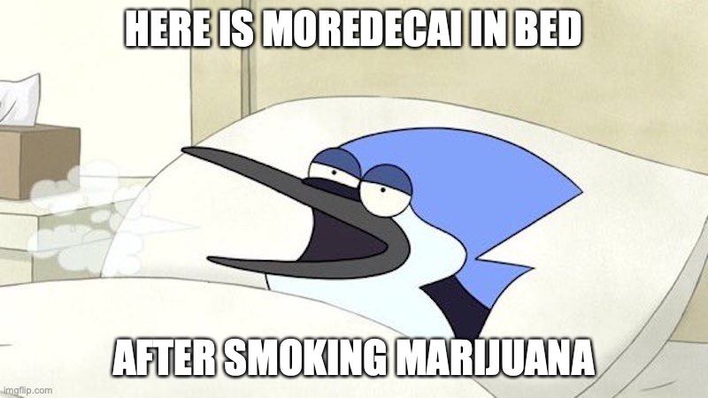 Mordecai in Bed | HERE IS MOREDECAI IN BED; AFTER SMOKING MARIJUANA | image tagged in regular show,memes | made w/ Imgflip meme maker