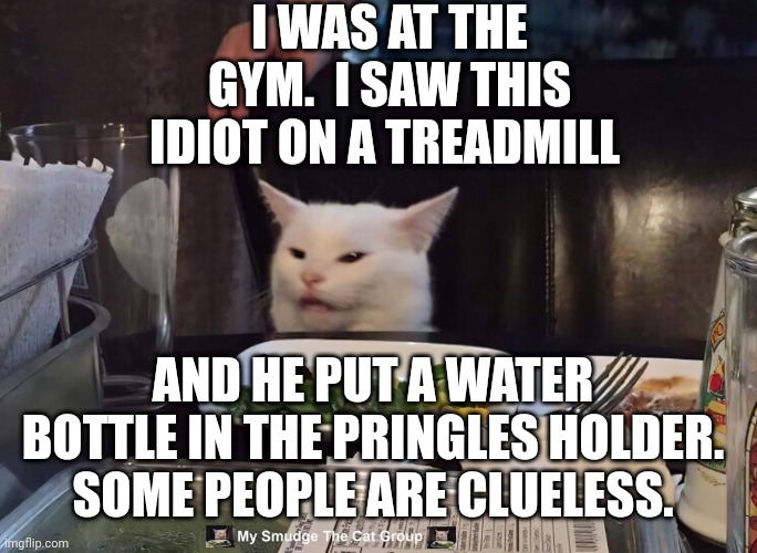 I WAS AT THE GYM.  I SAW THIS IDIOT ON A TREADMILL; AND HE PUT A WATER BOTTLE IN THE PRINGLES HOLDER. SOME PEOPLE ARE CLUELESS. | image tagged in smudge the cat,smudge | made w/ Imgflip meme maker