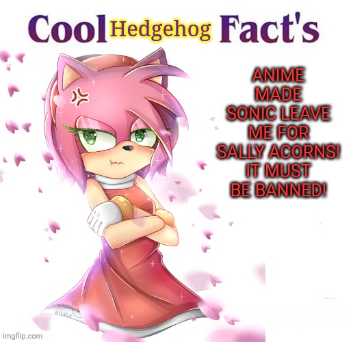 Fake anti anime propaganda,  because reasons... | Hedgehog; ANIME MADE SONIC LEAVE ME FOR SALLY ACORNS! IT MUST BE BANNED! | image tagged in fake,anti anime,propaganda,amy rose,no anime allowed | made w/ Imgflip meme maker