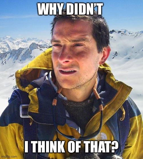 Bear Grylls Meme | WHY DIDN’T I THINK OF THAT? | image tagged in memes,bear grylls | made w/ Imgflip meme maker
