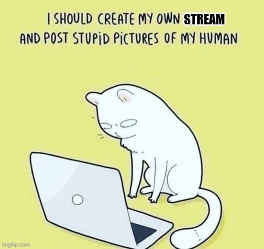 STREAM | image tagged in memes,funny,not funny,msmg | made w/ Imgflip meme maker