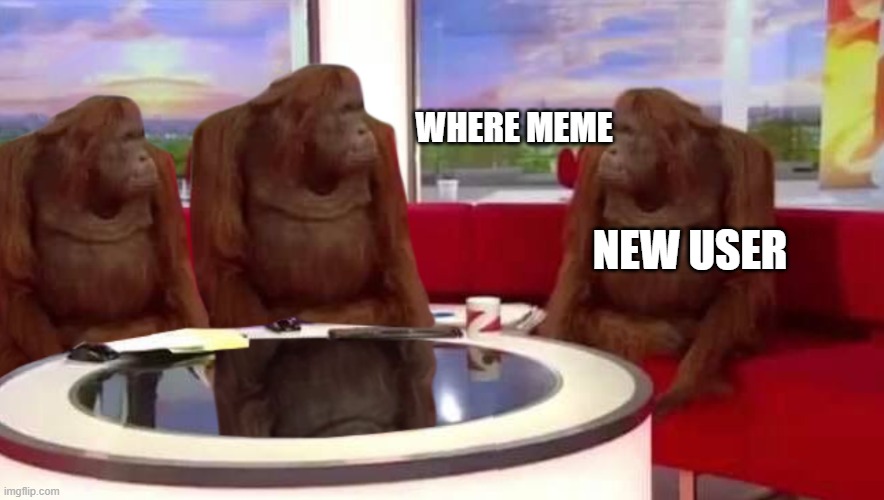 where monkey | WHERE MEME; NEW USER | image tagged in where monkey | made w/ Imgflip meme maker