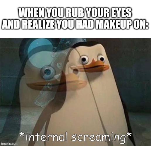 the worst realization- | WHEN YOU RUB YOUR EYES AND REALIZE YOU HAD MAKEUP ON: | image tagged in private internal screaming | made w/ Imgflip meme maker