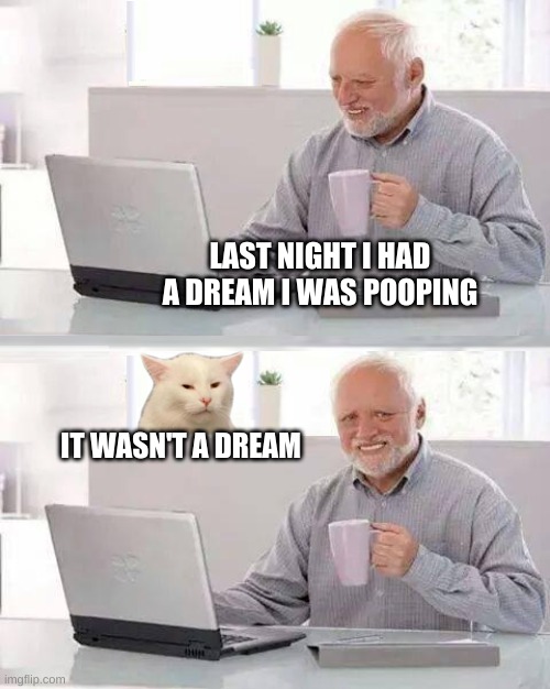 LAST NIGHT I HAD A DREAM I WAS POOPING; IT WASN'T A DREAM | image tagged in hide the pain harold,smudge the cat,pooping,poop,incontinence,inconceivable | made w/ Imgflip meme maker