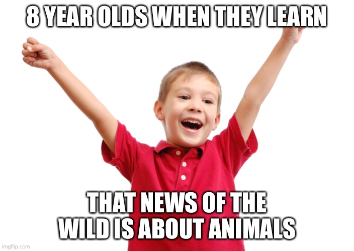It’s true | 8 YEAR OLDS WHEN THEY LEARN THAT NEWS OF THE WILD IS ABOUT ANIMALS | image tagged in happy kid,news,wild,children,tv | made w/ Imgflip meme maker