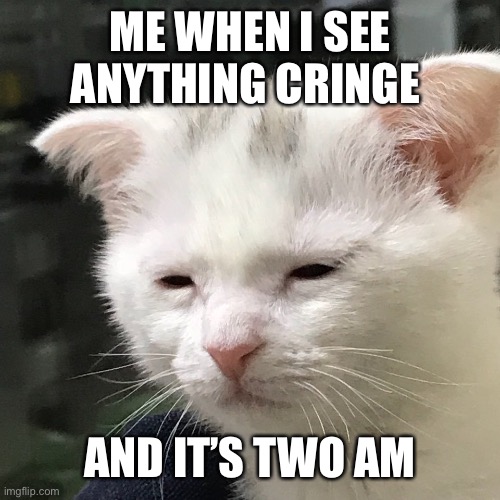 Two AM Cringe | ME WHEN I SEE ANYTHING CRINGE; AND IT’S TWO AM | image tagged in i'm awake but at what cost | made w/ Imgflip meme maker