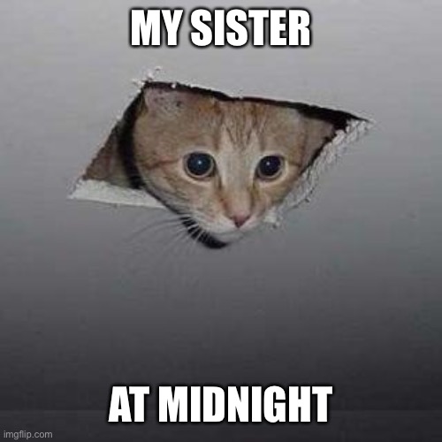 Midnight Check-In | MY SISTER; AT MIDNIGHT | image tagged in memes,ceiling cat | made w/ Imgflip meme maker