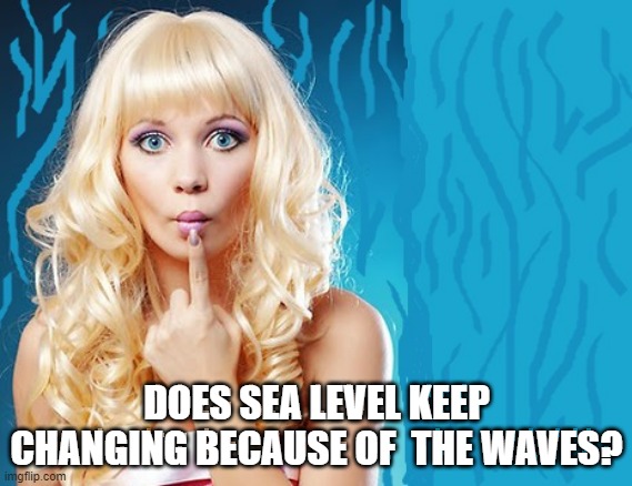 ditzy blonde | DOES SEA LEVEL KEEP CHANGING BECAUSE OF  THE WAVES? | image tagged in ditzy blonde | made w/ Imgflip meme maker