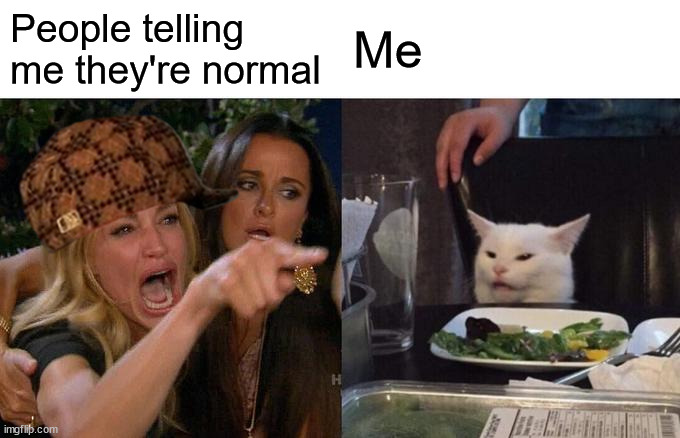 Woman Yelling At Cat | People telling me they're normal; Me | image tagged in memes,woman yelling at cat | made w/ Imgflip meme maker