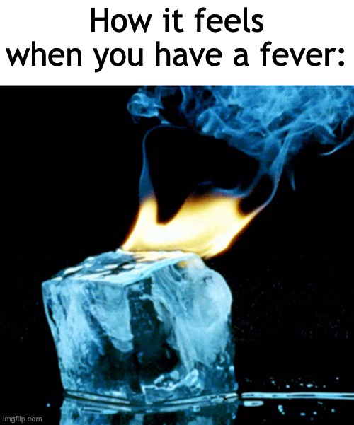 One moment: Im cold. Next moment: AAAAAAAAA IM BURNING | How it feels when you have a fever: | image tagged in relatable,sick,oh wow are you actually reading these tags,stop reading the tags,memes,funny | made w/ Imgflip meme maker