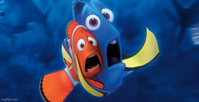 Dory Scared | image tagged in dory scared | made w/ Imgflip meme maker