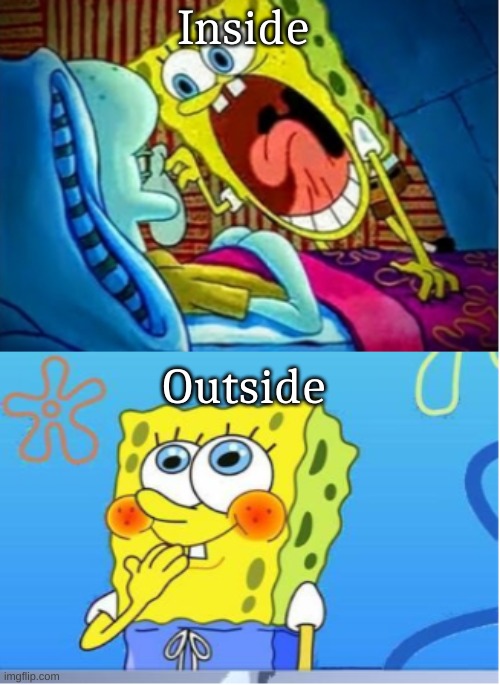 Spongebob Yell/Spongebob Shy | Inside; Outside | image tagged in spongebob yell/spongebob shy | made w/ Imgflip meme maker