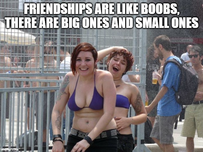 Big boobs vs small boobs 🤣 #friends #sister #bowlchallenge #big #smal