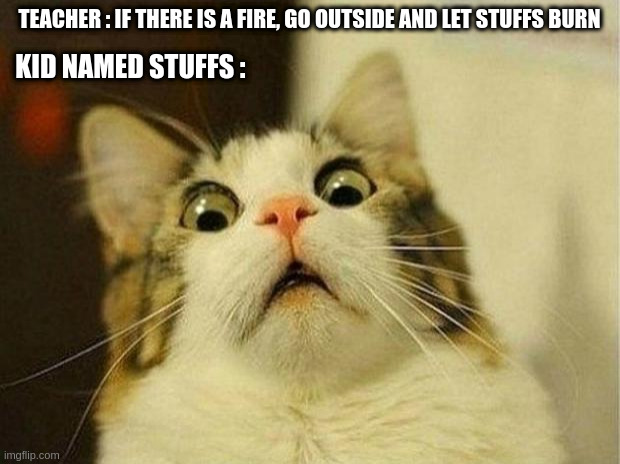 Scared Cat Meme | TEACHER : IF THERE IS A FIRE, GO OUTSIDE AND LET STUFFS BURN; KID NAMED STUFFS : | image tagged in memes,scared cat | made w/ Imgflip meme maker