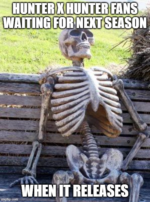 Waiting Skeleton Meme | HUNTER X HUNTER FANS WAITING FOR NEXT SEASON; WHEN IT RELEASES | image tagged in memes,waiting skeleton | made w/ Imgflip meme maker