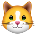 pussy Meme Template