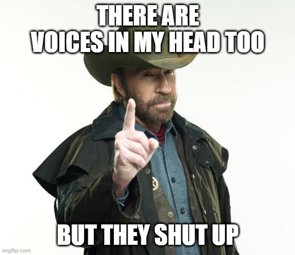 Norris |  THERE ARE VOICES IN MY HEAD TOO; BUT THEY SHUT UP | image tagged in memes,chuck norris finger,chuck norris | made w/ Imgflip meme maker
