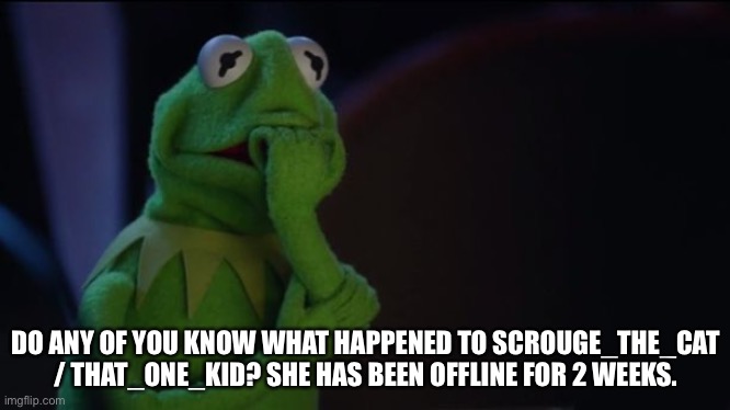 For gods sake come back :( | DO ANY OF YOU KNOW WHAT HAPPENED TO SCROUGE_THE_CAT / THAT_ONE_KID? SHE HAS BEEN OFFLINE FOR 2 WEEKS. | image tagged in kermit worried face | made w/ Imgflip meme maker