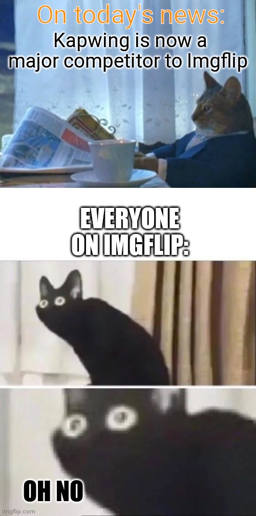We must defeat Kapwing | On today's news:; Kapwing is now a major competitor to Imgflip; EVERYONE ON IMGFLIP:; OH NO | image tagged in memes,i should buy a boat cat,oh no black cat,kapwing,why are you reading this | made w/ Imgflip meme maker