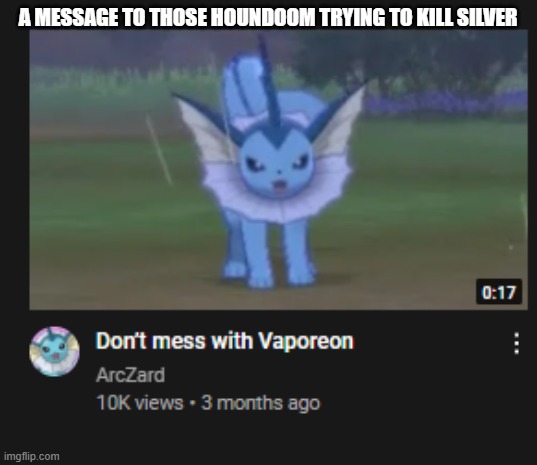 you dont want to mess with him | A MESSAGE TO THOSE HOUNDOOM TRYING TO KILL SILVER | image tagged in vaporeon | made w/ Imgflip meme maker