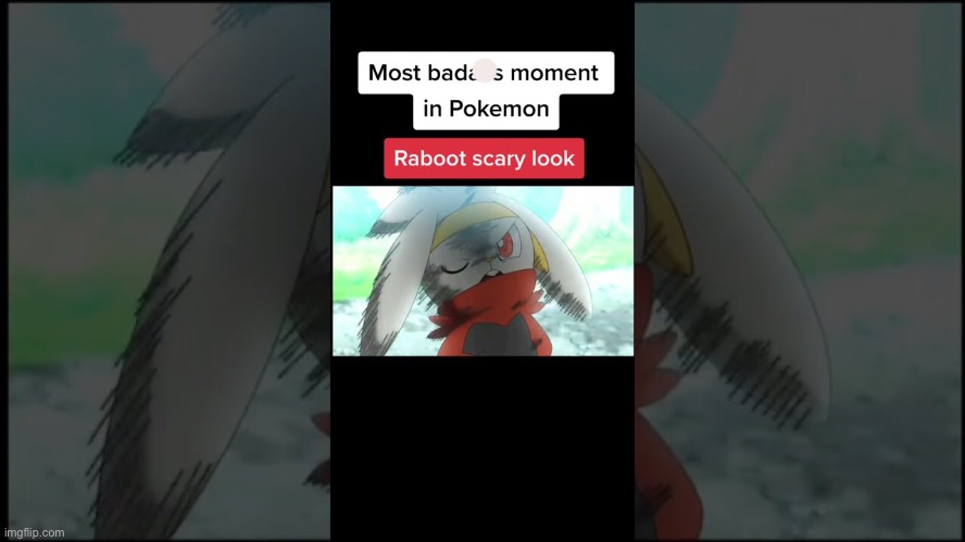 LMAO found this on google | image tagged in raboot,pokemon | made w/ Imgflip meme maker