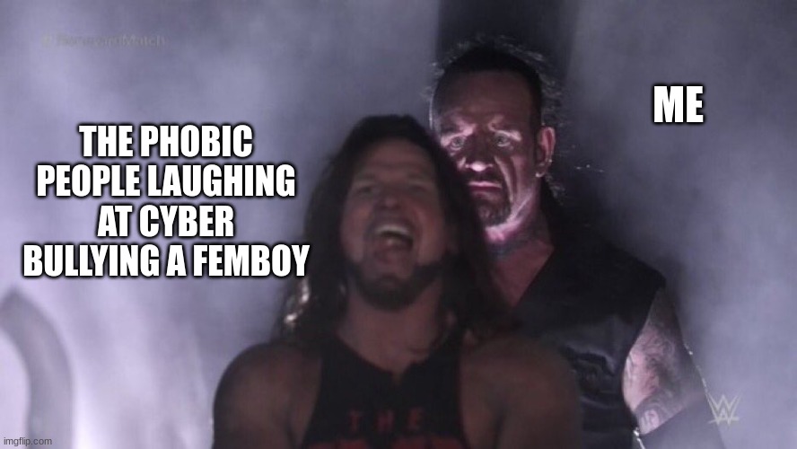 time to deliver some pain | ME; THE PHOBIC PEOPLE LAUGHING AT CYBER BULLYING A FEMBOY | image tagged in aj styles undertaker | made w/ Imgflip meme maker