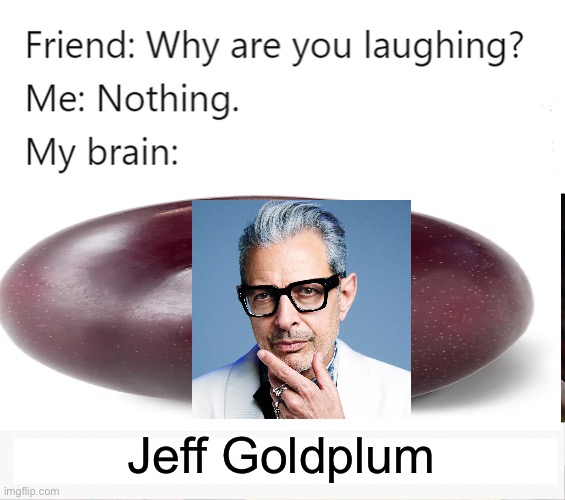 why are you laughing | Jeff Goldplum | image tagged in why are you laughing | made w/ Imgflip meme maker
