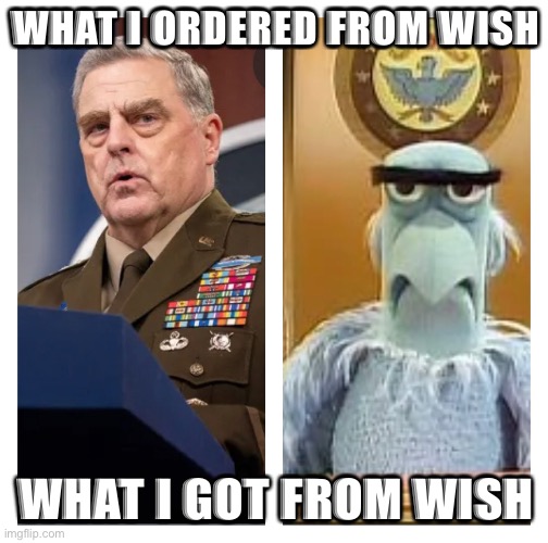  WHAT I ORDERED FROM WISH; WHAT I GOT FROM WISH | image tagged in they're the same picture,who knew,muppets meme,general | made w/ Imgflip meme maker