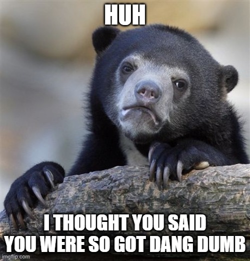 bear | HUH; I THOUGHT YOU SAID YOU WERE SO GOT DANG DUMB | image tagged in memes,confession bear | made w/ Imgflip meme maker