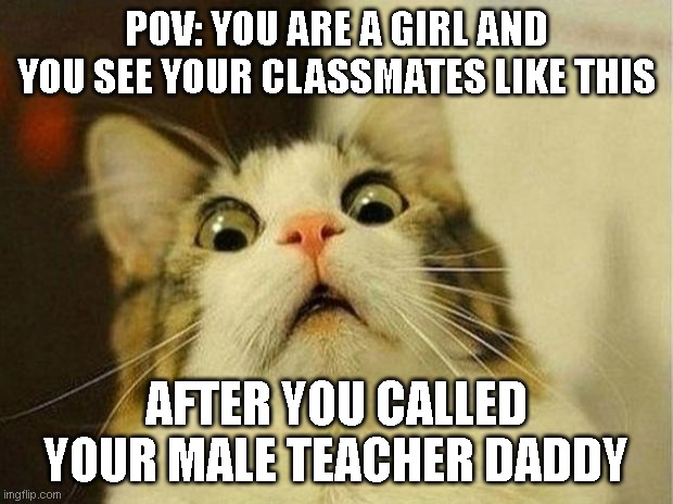 never call the teacher daddy | POV: YOU ARE A GIRL AND YOU SEE YOUR CLASSMATES LIKE THIS; AFTER YOU CALLED YOUR MALE TEACHER DADDY | image tagged in memes,scared cat | made w/ Imgflip meme maker