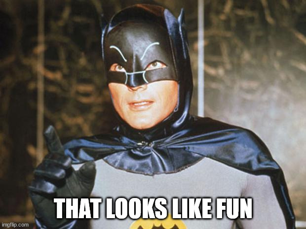 Batman-Adam West | THAT LOOKS LIKE FUN | image tagged in batman-adam west | made w/ Imgflip meme maker