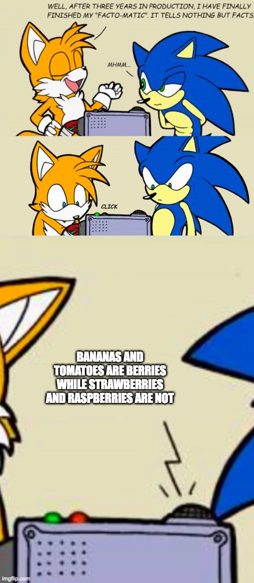 Tails' facto-matic | BANANAS AND TOMATOES ARE BERRIES WHILE STRAWBERRIES AND RASPBERRIES ARE NOT | image tagged in tails' facto-matic | made w/ Imgflip meme maker