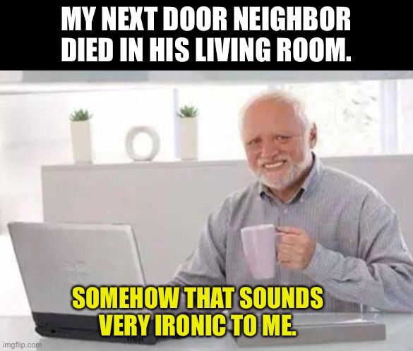 Living Room | MY NEXT DOOR NEIGHBOR DIED IN HIS LIVING ROOM. SOMEHOW THAT SOUNDS VERY IRONIC TO ME. | image tagged in harold | made w/ Imgflip meme maker