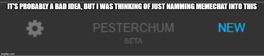 This is just an idea. | IT'S PROBABLY A BAD IDEA, BUT I WAS THINKING OF JUST NAMMING MEMECHAT INTO THIS | made w/ Imgflip meme maker