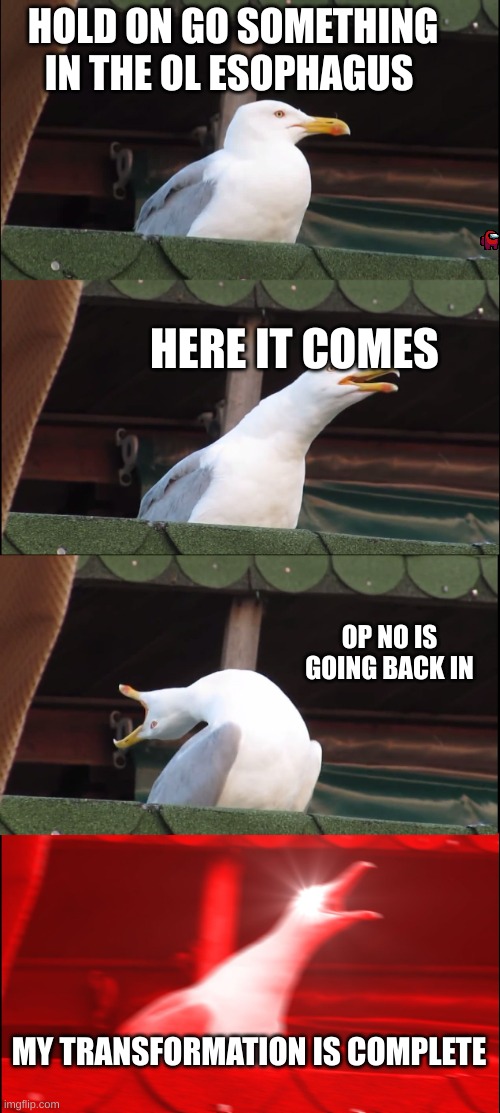 Inhaling Seagull Meme | HOLD ON GO SOMETHING IN THE OL ESOPHAGUS; HERE IT COMES; OP NO IS GOING BACK IN; MY TRANSFORMATION IS COMPLETE | image tagged in memes,inhaling seagull | made w/ Imgflip meme maker