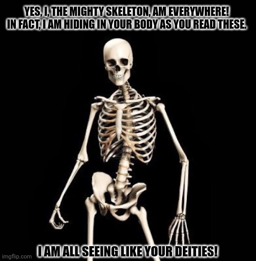 YES, I, THE MIGHTY SKELETON, AM EVERYWHERE! IN FACT, I AM HIDING IN YOUR BODY AS YOU READ THESE. I AM ALL SEEING LIKE YOUR DEITIES! | image tagged in memes,sans,quit | made w/ Imgflip meme maker