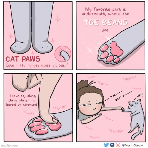 squishy paws :D | image tagged in memes,funny,not memes,comics | made w/ Imgflip meme maker