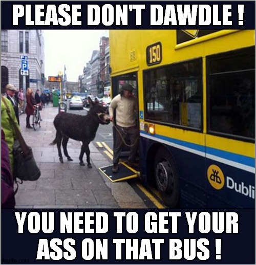 In Dublin's Fair City ! | PLEASE DON'T DAWDLE ! YOU NEED TO GET YOUR 
ASS ON THAT BUS ! | image tagged in donkey,ass,bus,dublin,visual pun | made w/ Imgflip meme maker