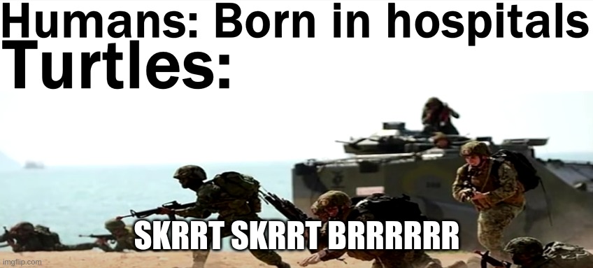 Fight | SKRRT SKRRT BRRRRRR | image tagged in fighting | made w/ Imgflip meme maker